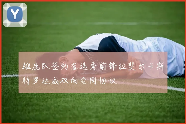 雄鹿队签约落选秀前锋拉斐尔卡斯特罗达成双向合同协议